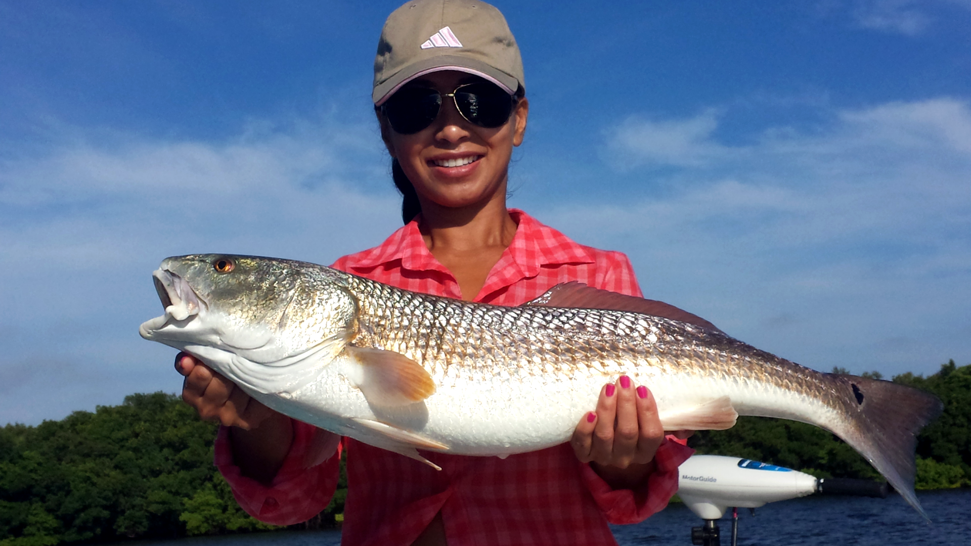 Tampa Fishing Charters Light Tackle Adventures: Flats Fishing