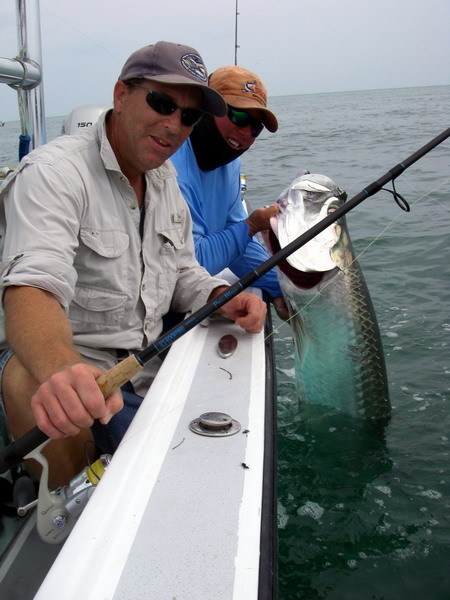 Tampa Fishing Charters Light Tackle Adventures: Tarpon Fishing