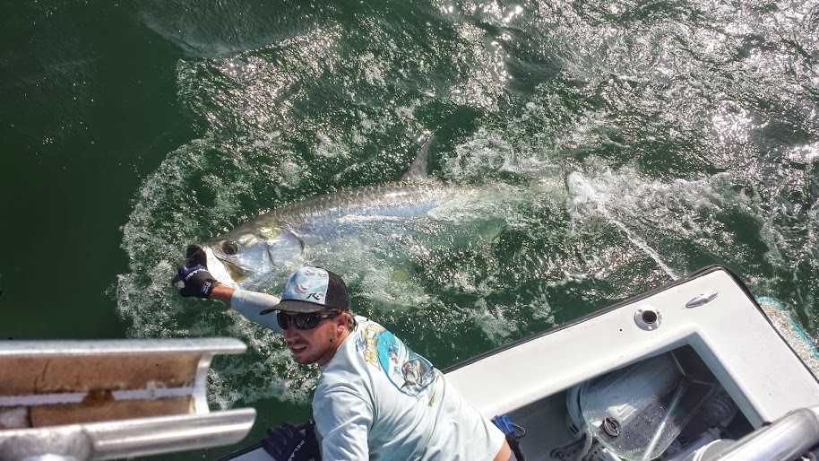 Tampa Fishing Charters Light Tackle Adventures: Tarpon Fishing 
