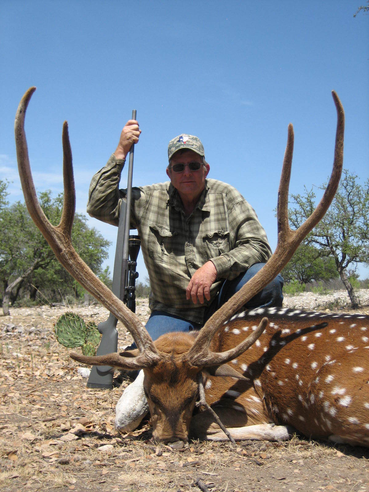 Texas Hunt Lodge: Axis Deer Hunts