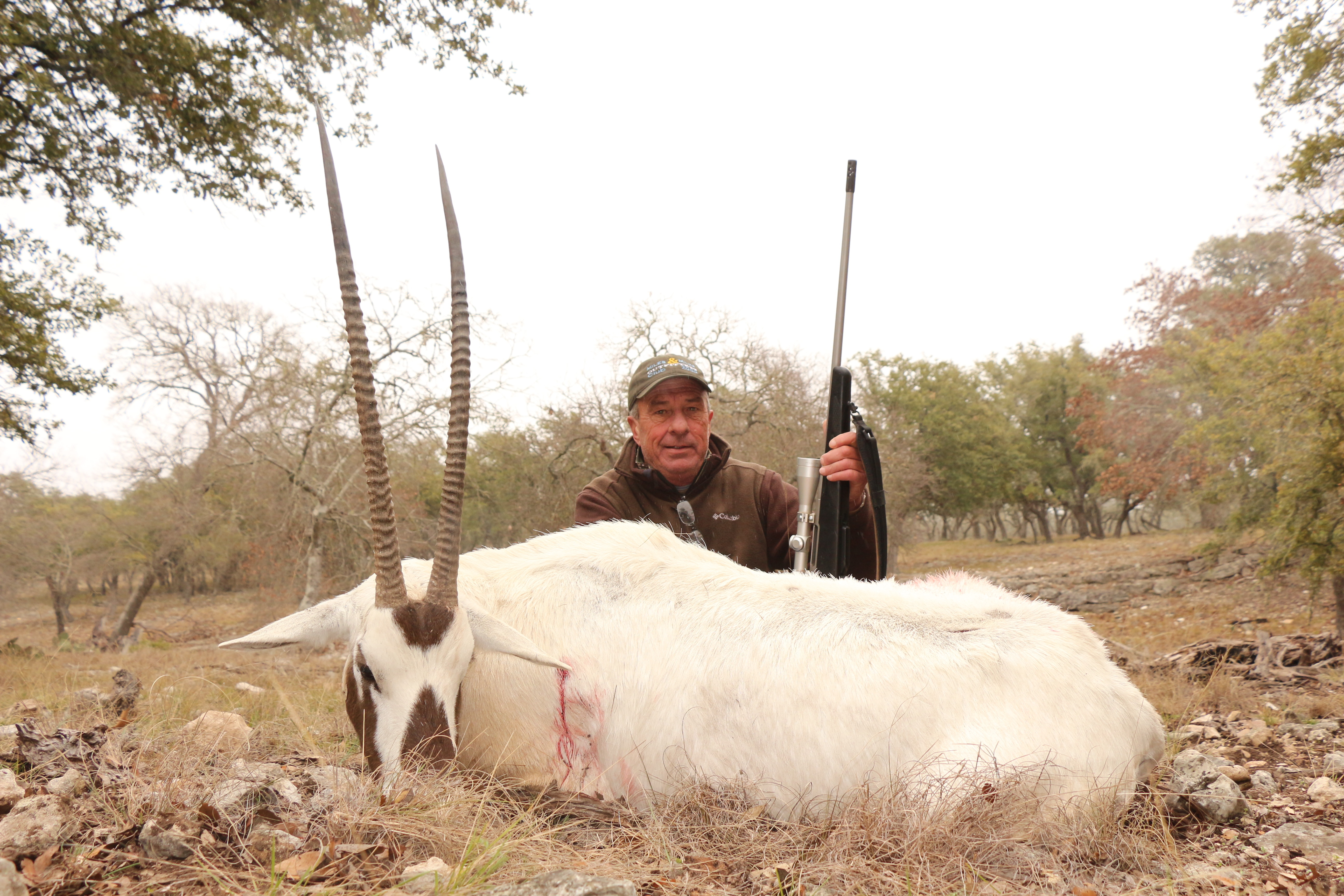 Texas Hunt Lodge: Grant's Gazelle Hunt