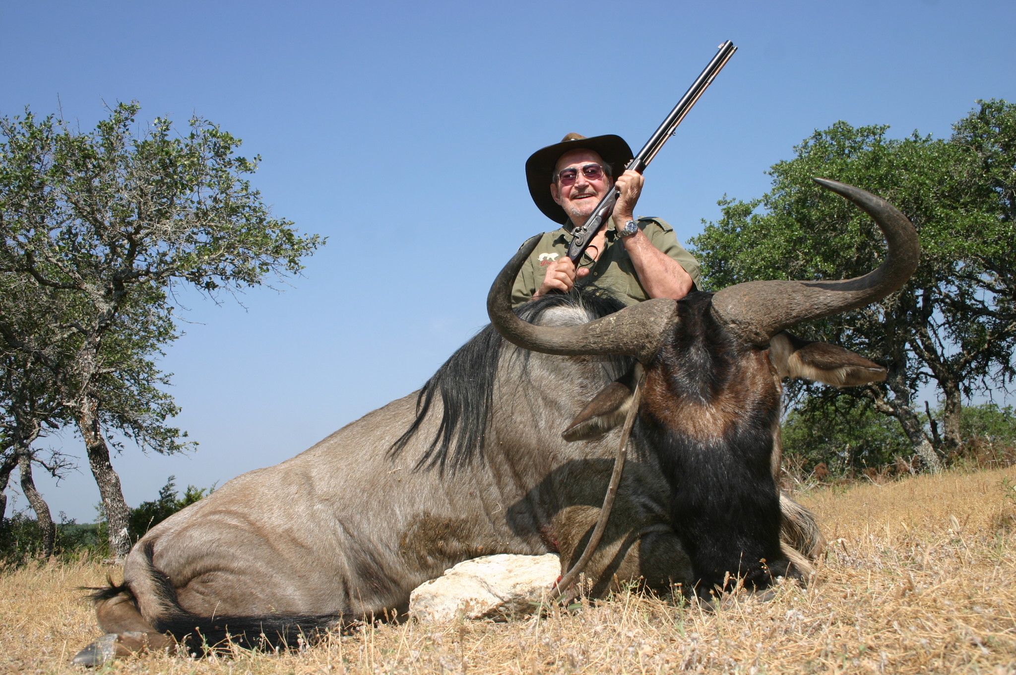 Texas Hunt Lodge: Trophy Black Wildebeest Hunts