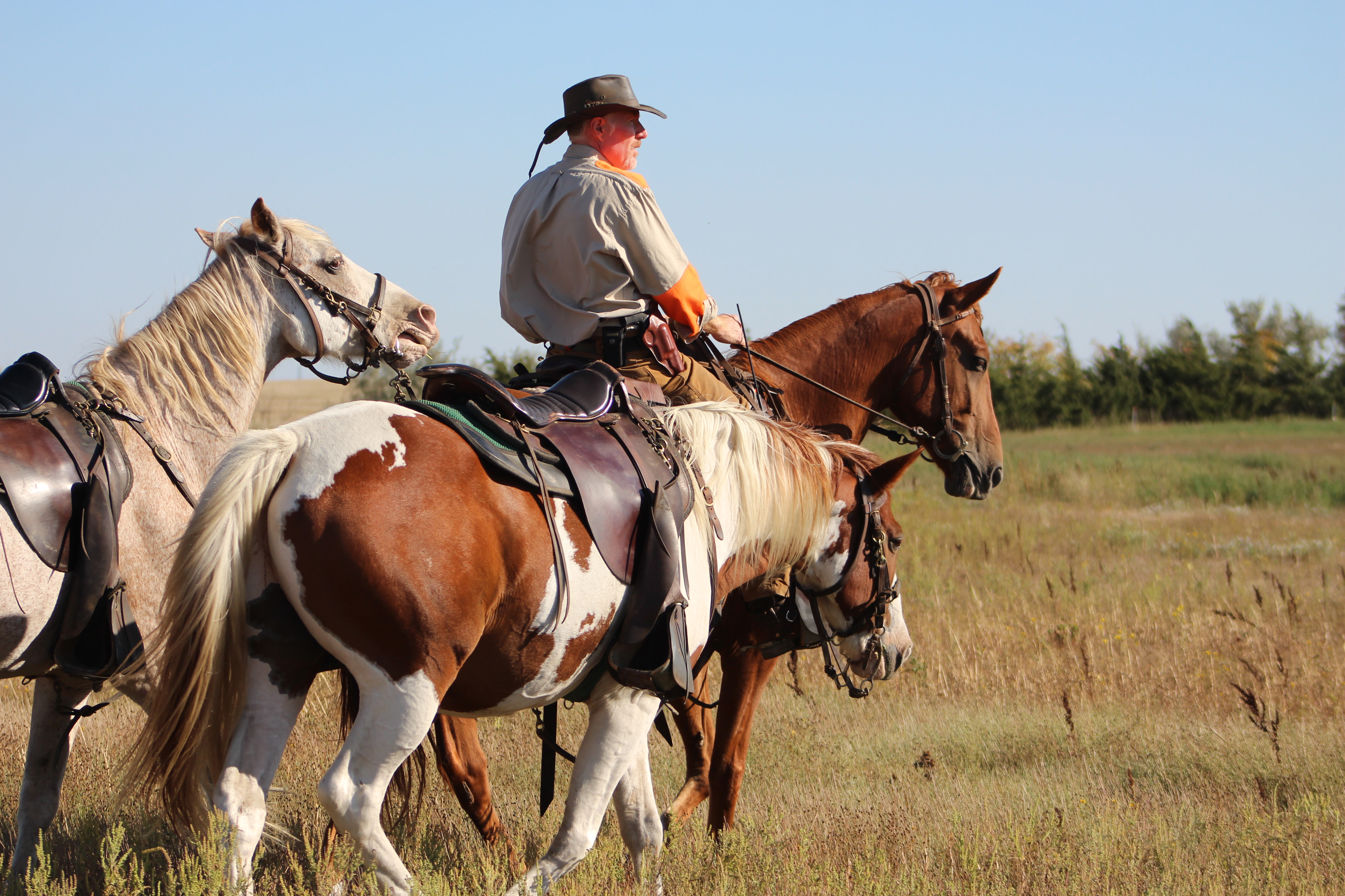Tinker Kennels, LLC: Three Day Horseback Hunting Expedition