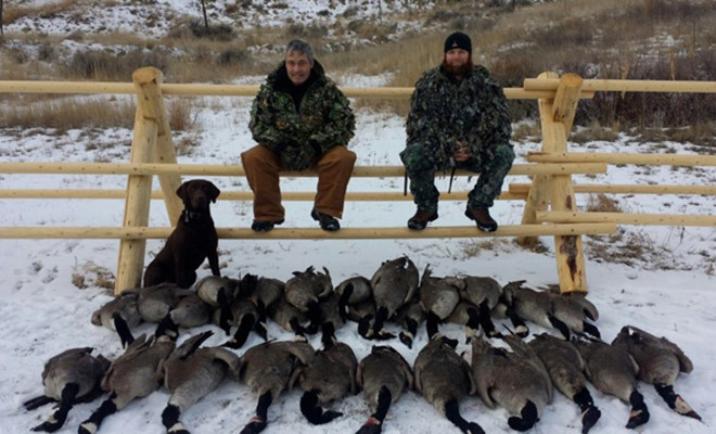Trophies West Outfitting Co.: Canadian Goose Hunts