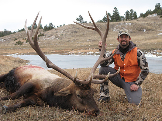 Trophies West Outfitting Co.: Guided Archery / Rifle Elk Hunts