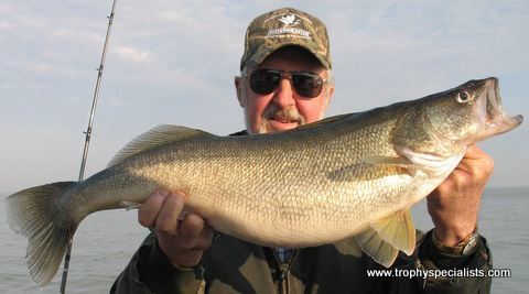 Trophy Specialists Fishing Charters: Lake Fishing Full Day Trip