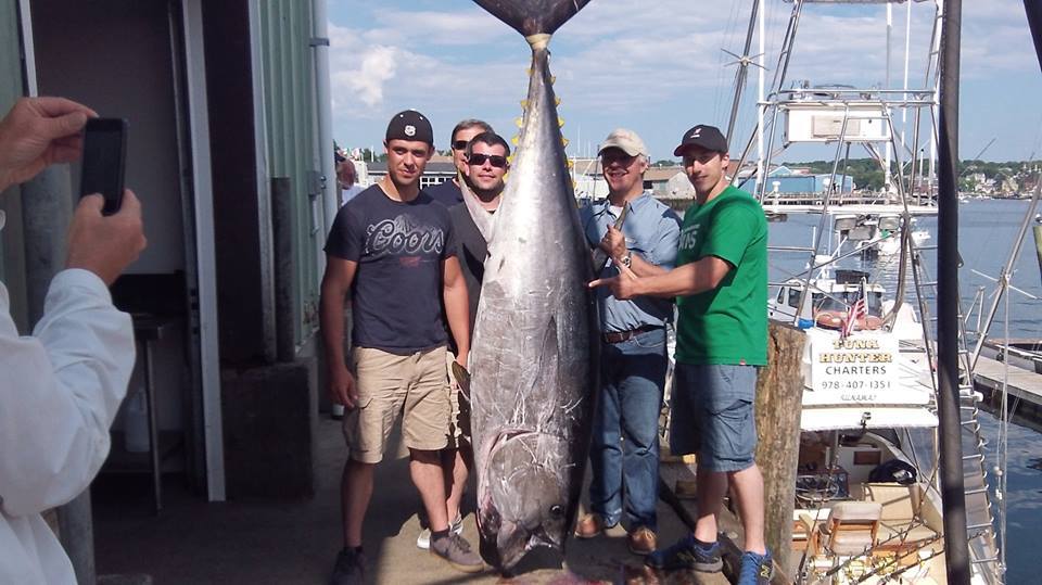 Tuna Hunter Fishing Charters: Giant Bluefin Tuna Fishing