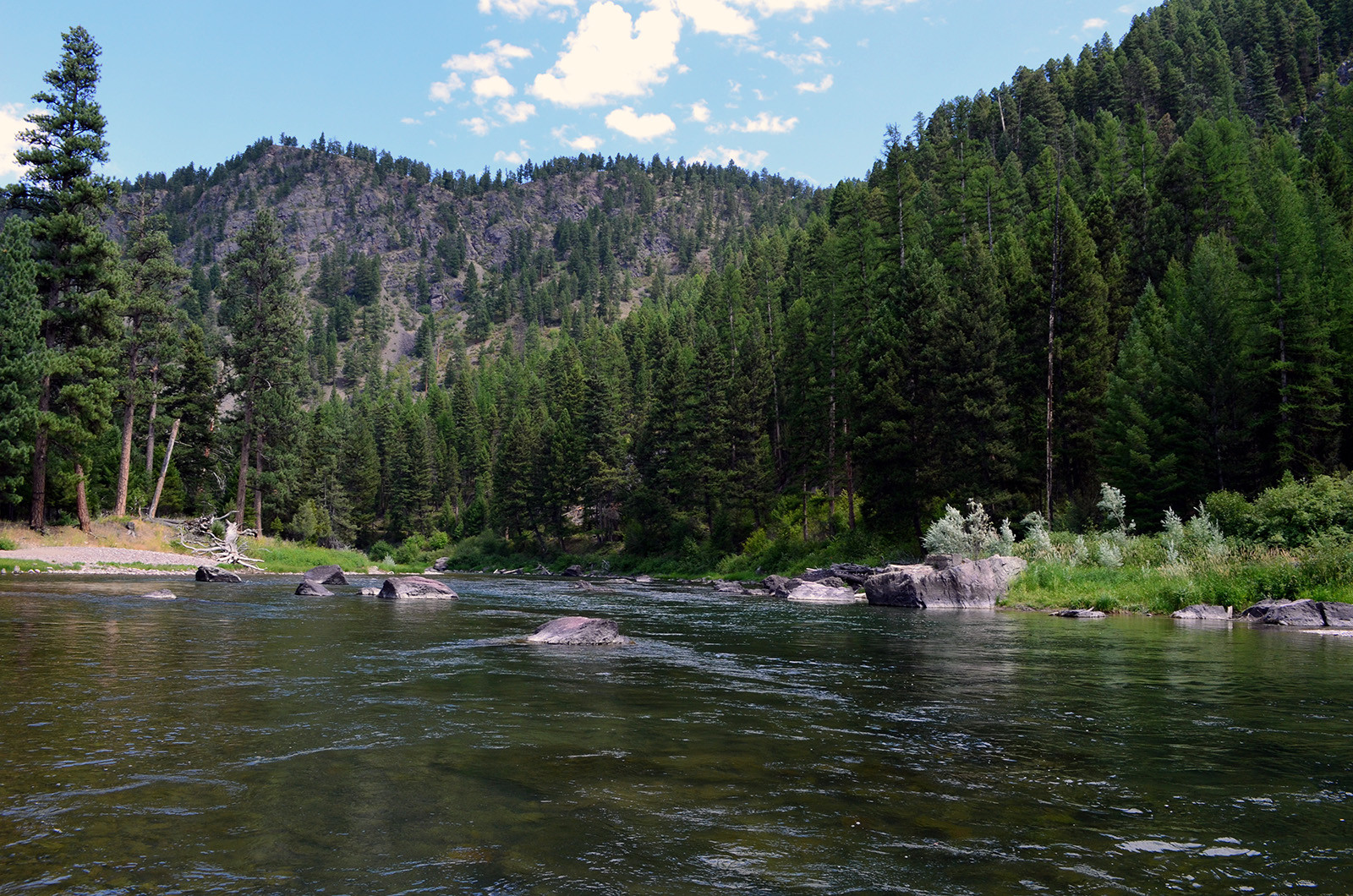 Wapiti Waters Fly Fishing Montana With Jack C. Mauer: Blackfoot River in western Montana