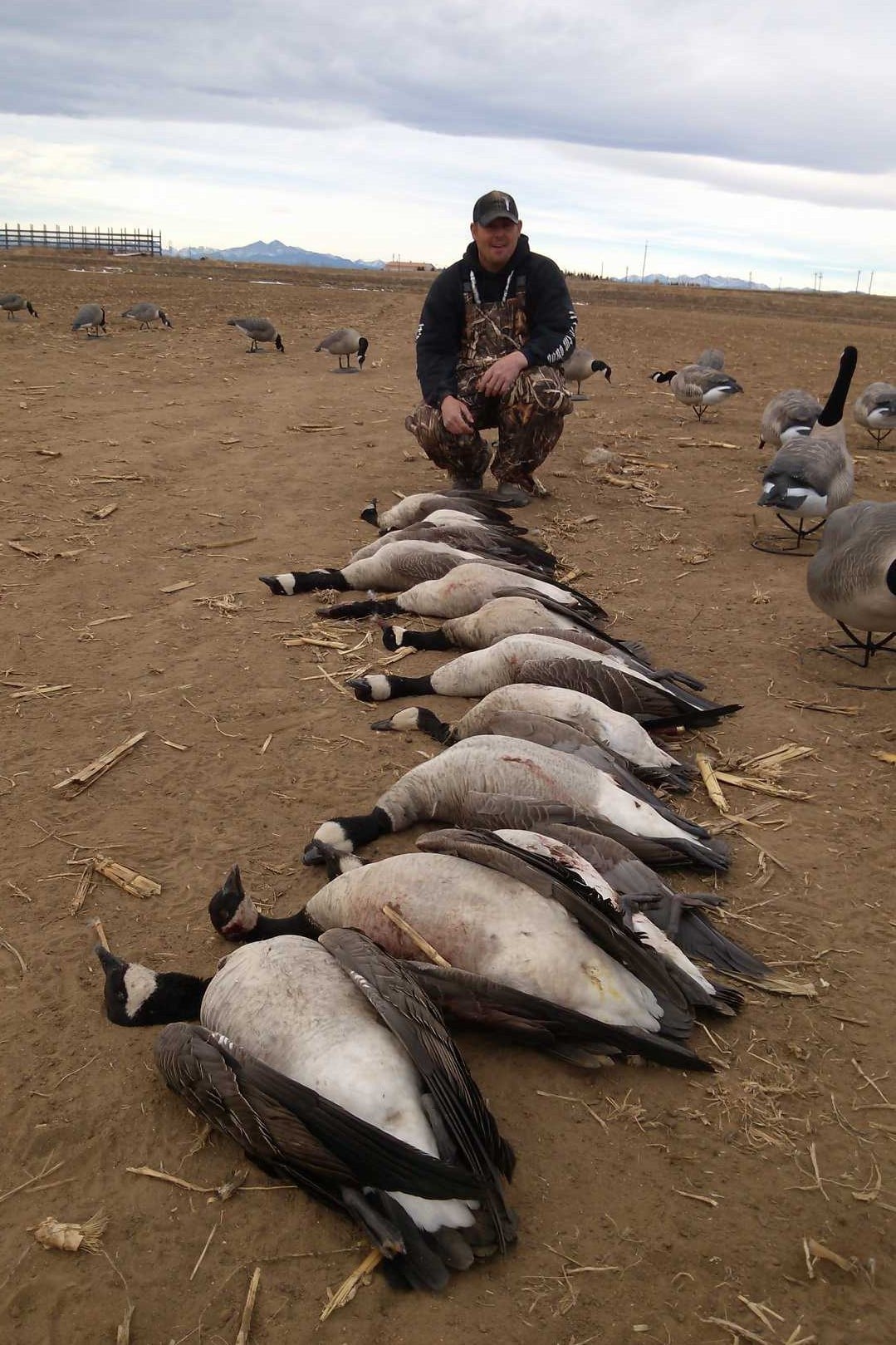 Waterfowl Haven Outfitters: Kansas Spring Snow Goose/Specklebelly/Canada Goose Combo Hunts