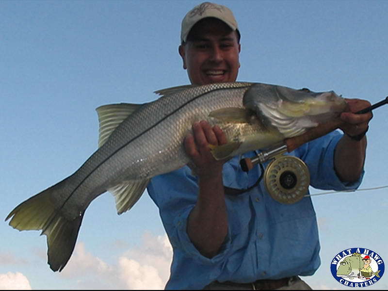 What A Hawg Charters: Light Tackle Inshore Fishing Charter