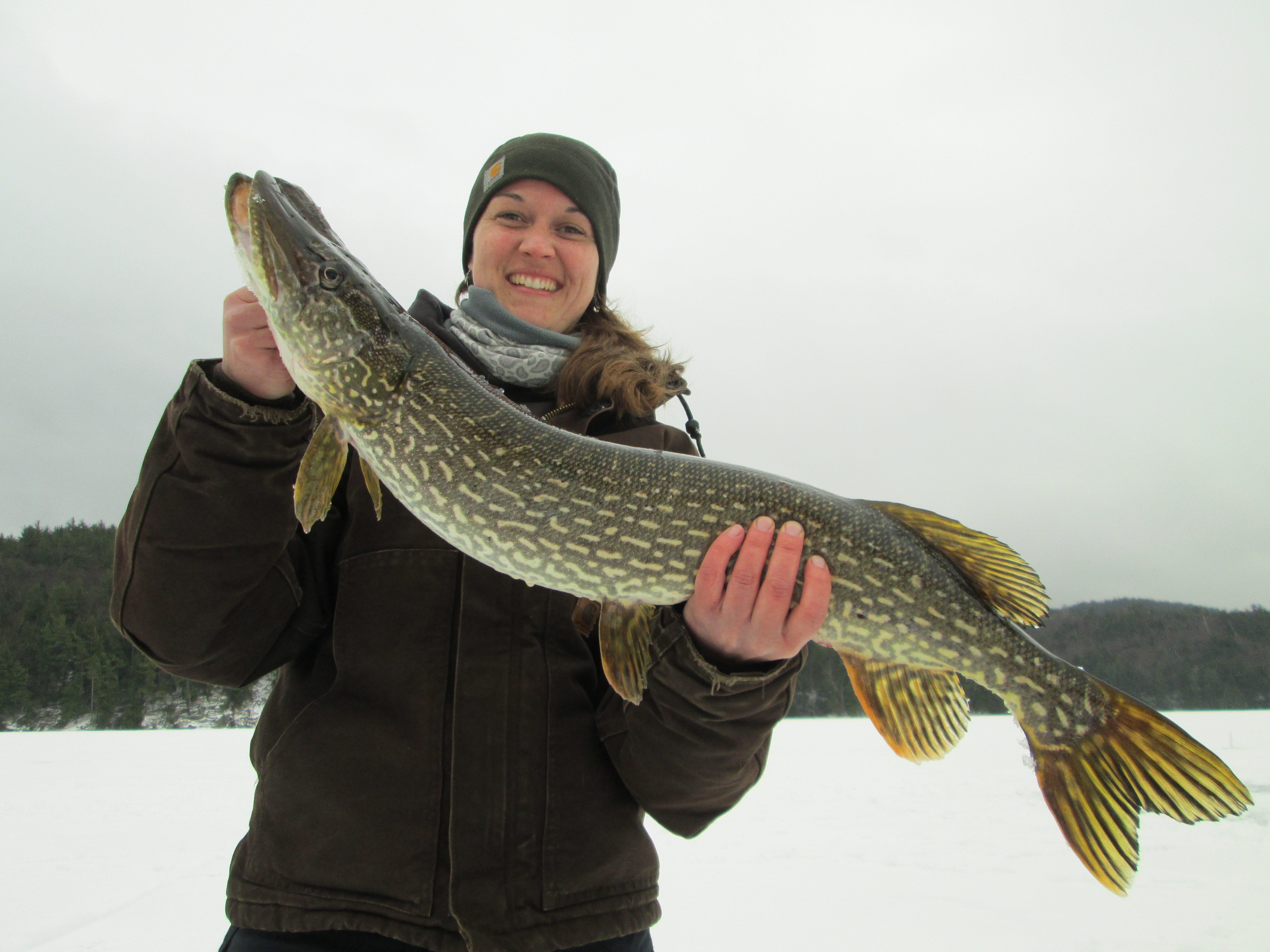 Whitetail Strategies Guide Service: Guided Ice Fishing