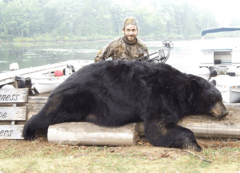 Wilderness Escape Outfitters: Bear Hunt