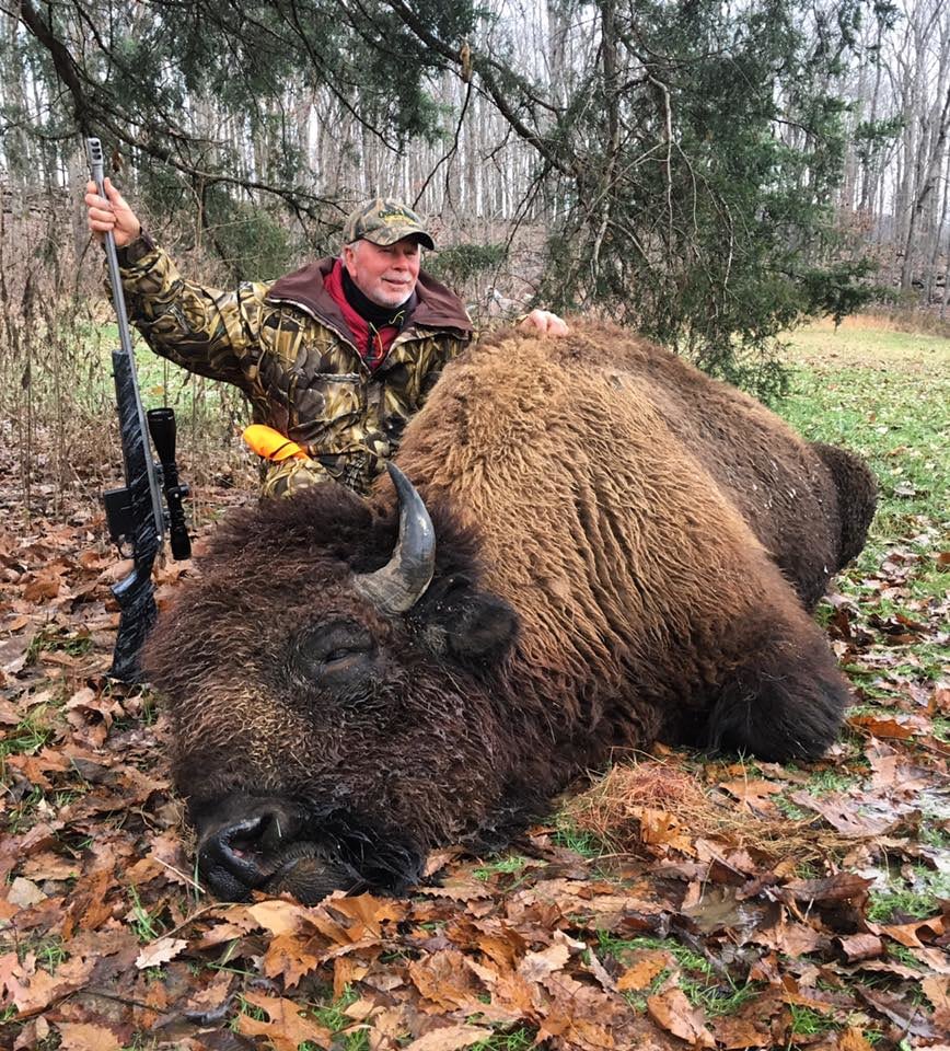 Wilderness Hunting Lodge: Buffalo Hunt