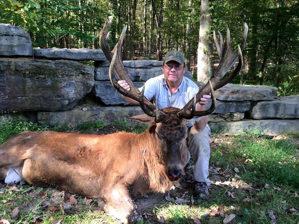 Wilderness Hunting Lodge: Red Stag Hunt