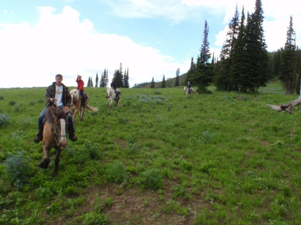 Wilderness Trails Inc: Horseback Trips