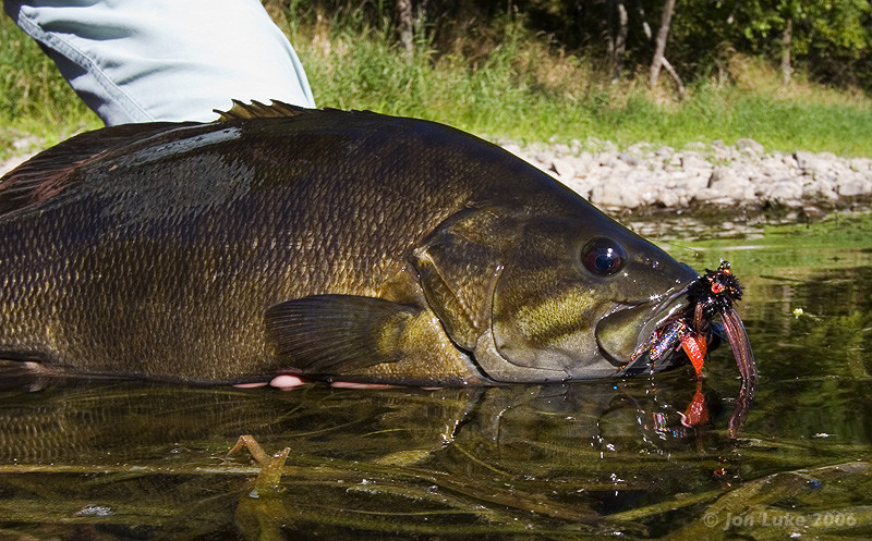Wildwood Float Trips: Two Day Smallmouth Getaway