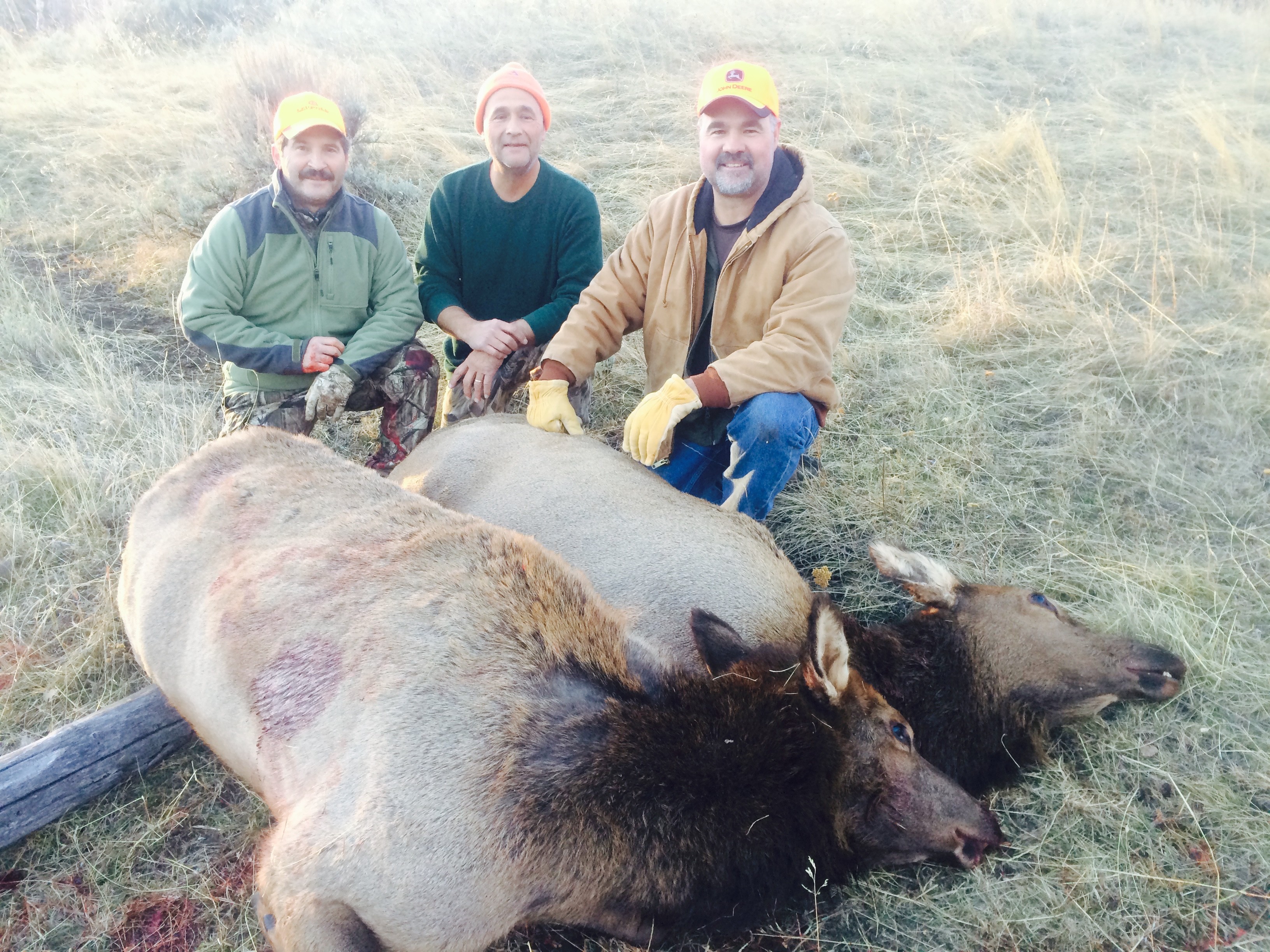 Wood River Ranch Outfitters LLC: Moose Hunt