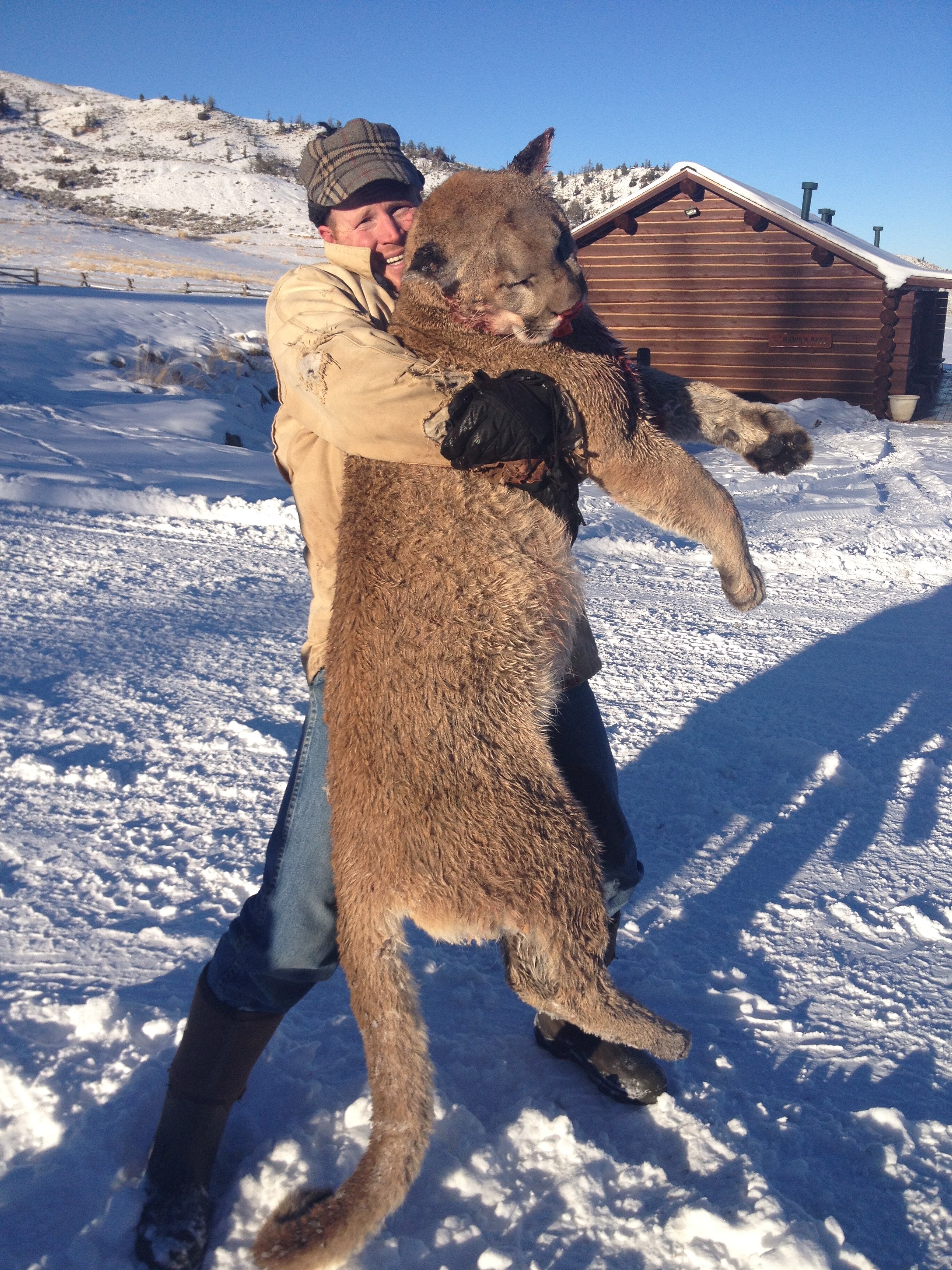 Wood River Ranch Outfitters LLC: Mountain Lion Hunt