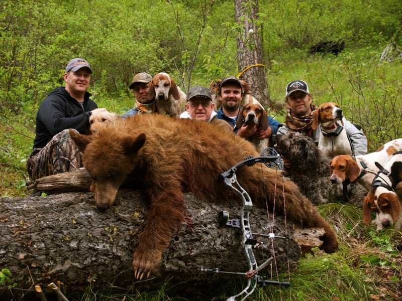 Youren Outfitters: 5 Day Bear Hunt with Bait